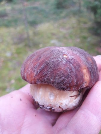 1204239145_1.thumb.jpg.9e20f4f2a63dcce2c32395d140a65347.jpg