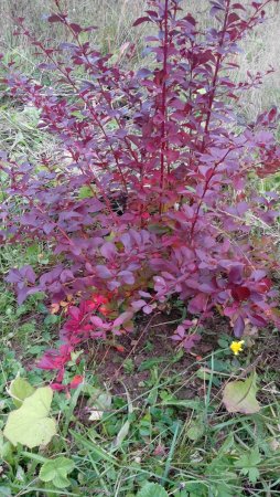 IMG_20190913_165104.jpg