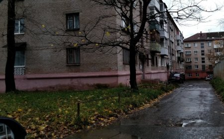 P_20191014_140034_p_1.jpg