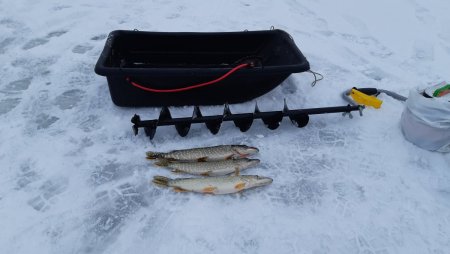 20191117_160633.jpg