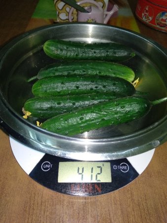 IMG_20191113_121719_600x800.jpg