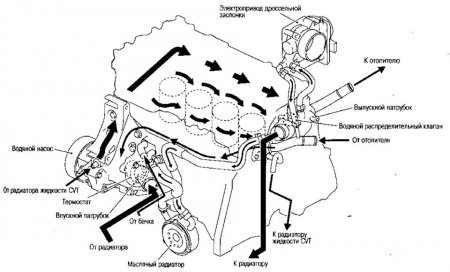 L4AAAgOc4eA-960.jpg