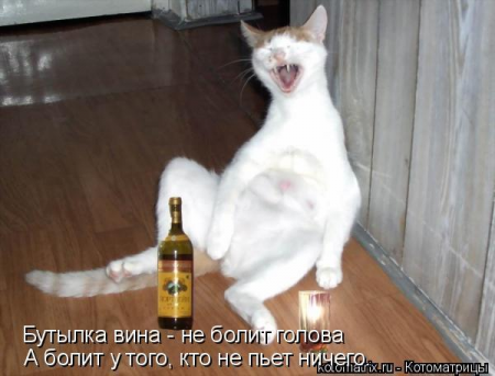 image.thumb.png.2073b4f32d59d148421187b032500624.png