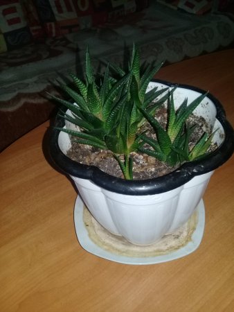 20200115_113024.jpg