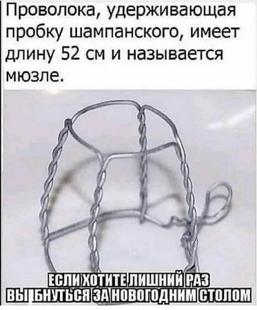 C0B26BD6-36B9-4844-9104-29D8D5FA6E69.jpeg