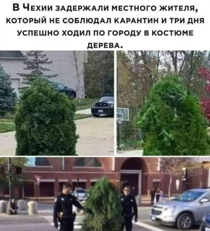 FB_IMG_1585639680990.jpg