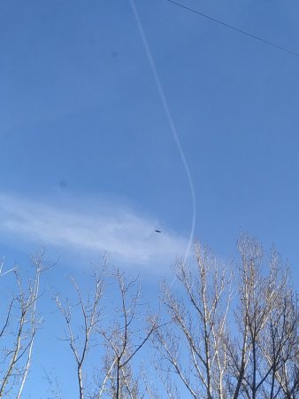 IMG_20200328_140549.jpg