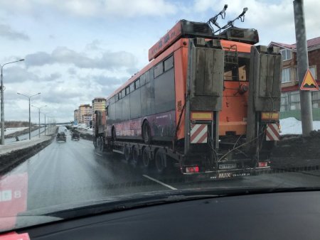 S1qUuLmk-O0.thumb.jpg.338a8c1ea7b6069caa437ee09d831d77.jpg
