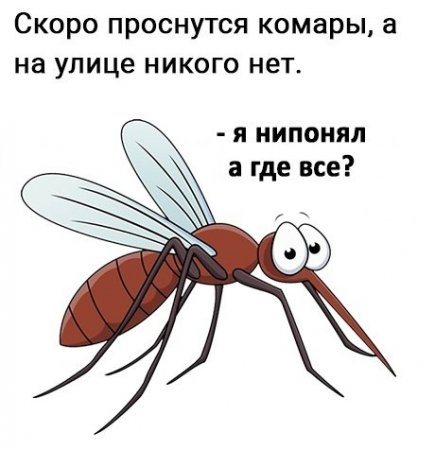gnpYa_9C624.jpg