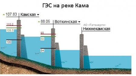 кама.jpg