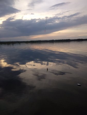 IMG_20200510_204106.jpg