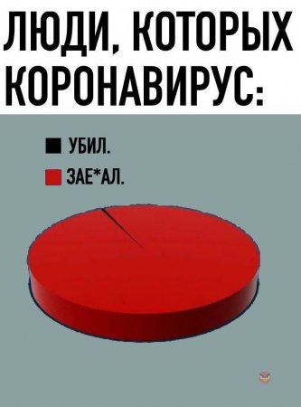 6qyy5GCBiuA.jpg
