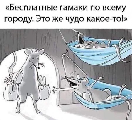 LklH3FjAOBs.jpg
