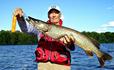 Чашка, 4.4 кг..jpg