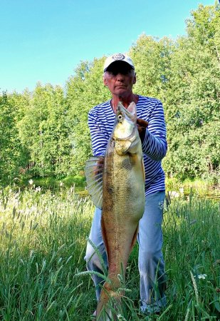 Судак на 5 кг..jpg