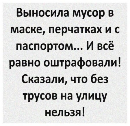 orig.jpg