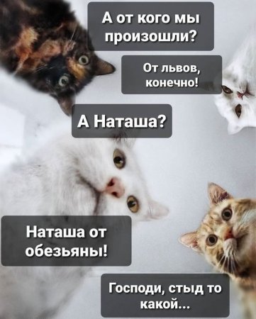 vNVLl3BLWA8.jpg