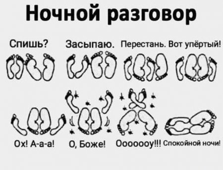 1396428193_.thumb.jpg.a9777ae2a6e987dee2e21c2c207d5cc8.jpg