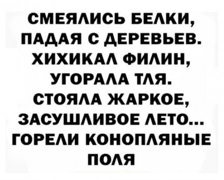 IMG_20200811_165253.jpg