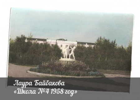 31555377.jpg
