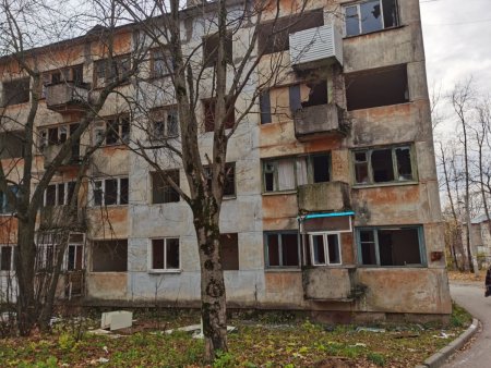 выпотрошенный домик.jpg