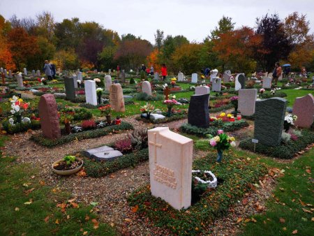IMG_20201101_150236_compress34.jpg