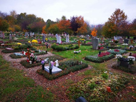 IMG_20201101_152051_compress84.jpg