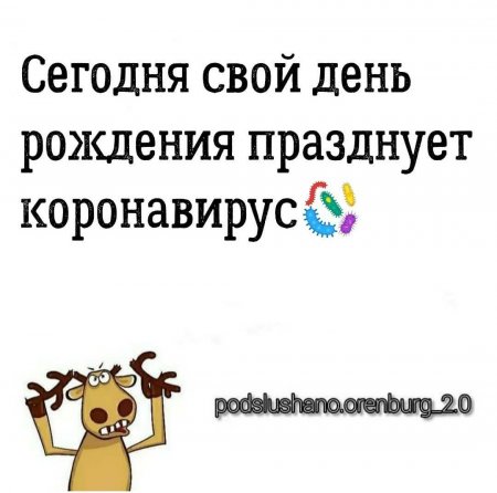 IMG_20201117_123502.jpg