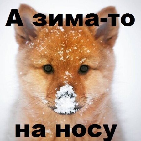 IMG_20201124_045116.jpg