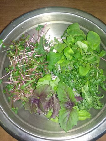 IMG_20201128_110723.jpg