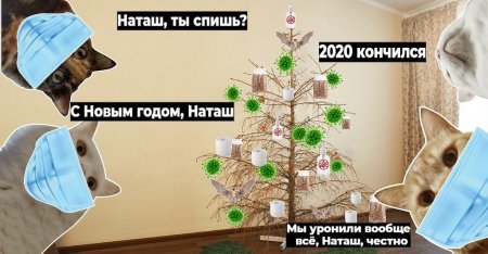 7TJLg4cNfxs.jpg