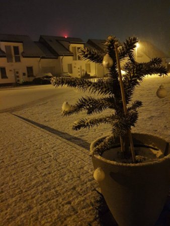 IMG-20201205-WA0001_compress61.jpg