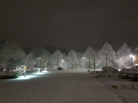 IMG-20201205-WA0006_compress27.jpg