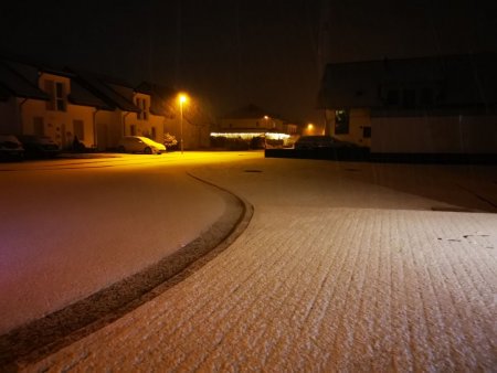 IMG_20201205_052225_compress82.jpg