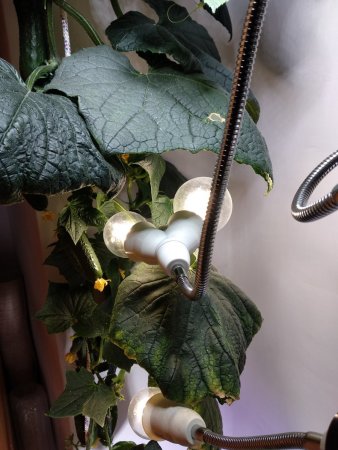 IMG_20201224_200416.jpg