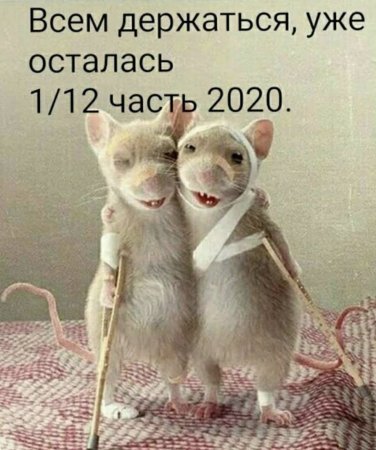 Nv8QgL1BNrQ.jpg