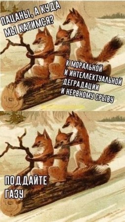 bzzl2ejbtcw.jpg
