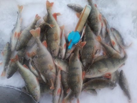 2021-01-08 15.03.51.jpg