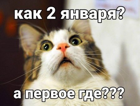 IMG_20210102_183755.jpg