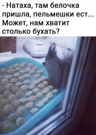 y_kMGY1BctY.jpg
