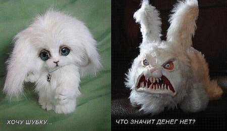 шубка.jpg