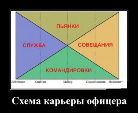 5986834_6b12d9c151e4e5d5c77a44132883d588.jpg