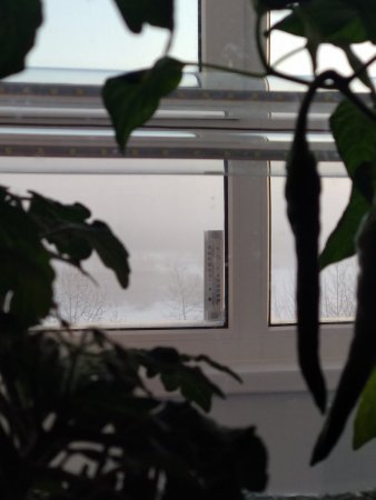 IMG_20210223_092348.jpg
