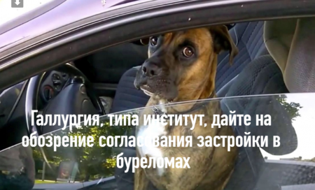 image.thumb.png.a9ae7c92386078d63c10c345756710a6.png