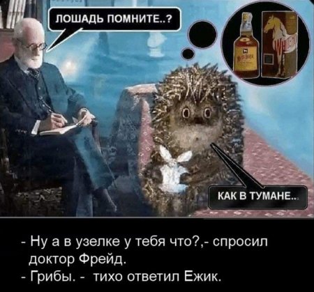 ежыг.jpg