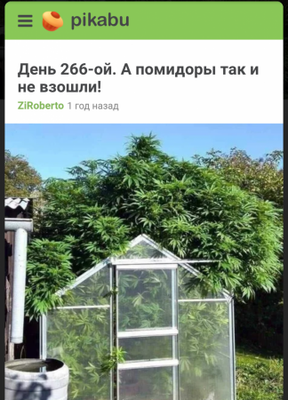 Screenshot_20210328-000158~2.png