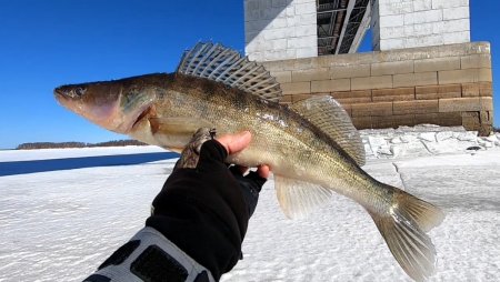 Под мостом.mp4_20210330_111544.344.jpg