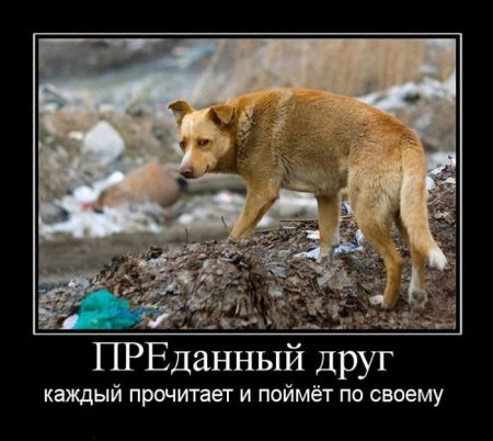 6AE006E9-8569-4EFF-B870-AA2FBD53B59C.jpeg