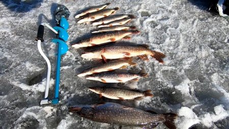 Закрытие зимнего сезона 2021.mp4_20210418_213716.907.jpg