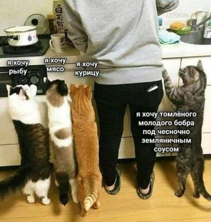 pOuzwDQ1hIk.jpg